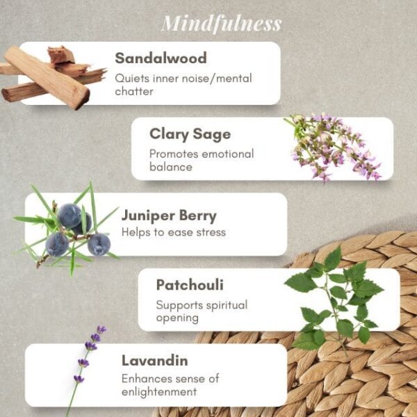 CLEEN ESSENTIAL OILS MINDFULNESS 10ML (正念精油)-3