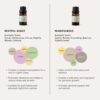 CLEEN ESSENTIAL OILS MINDFULNESS 10ML (正念精油)-5