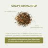 new genmaicha-6