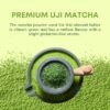 new matcha-6